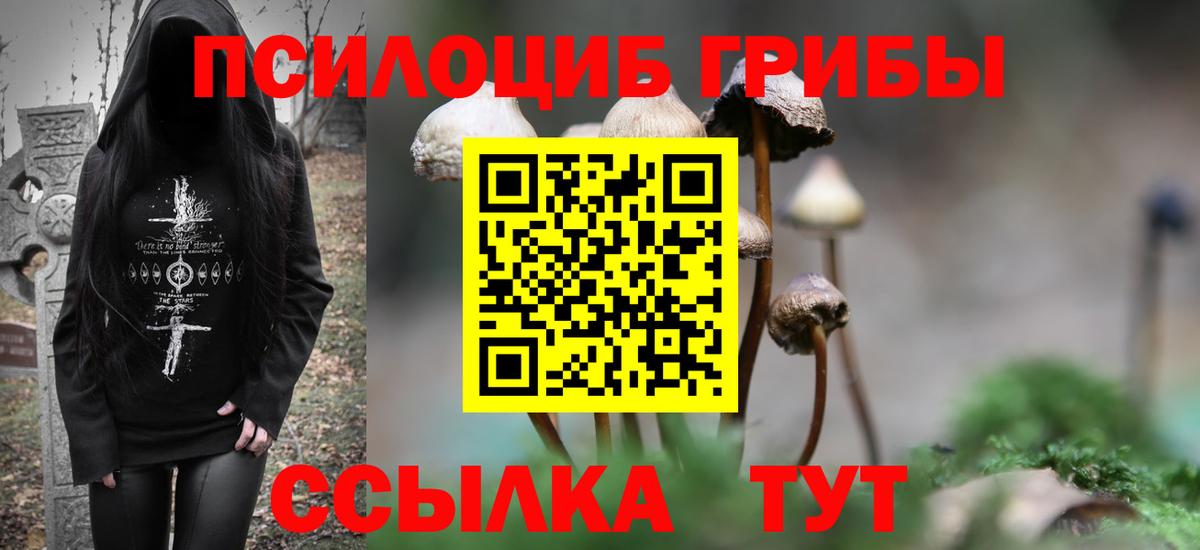 Галлюциногенные грибы Psilocybine cubensis  где купить наркоту  Асбест  Вход с VPN  Псилоцибиновые грибы Magic Shrooms 