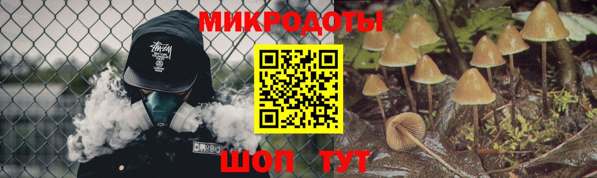 Галлюциногенные грибы Cubensis Асбест